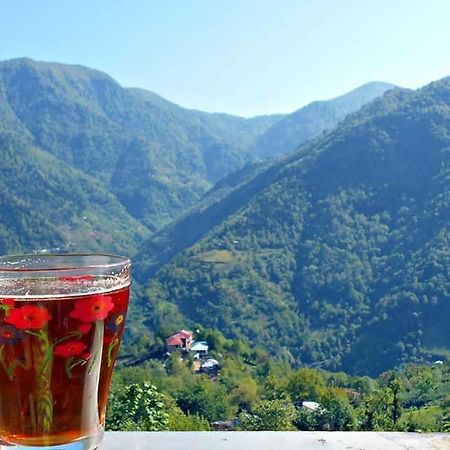 Guest House Noe Kveda Chkhutuneti 外观 照片